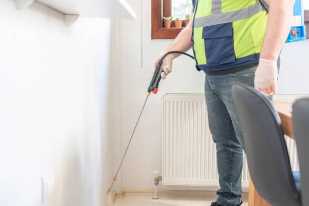 Wasp Removal Services in Marinette, WI