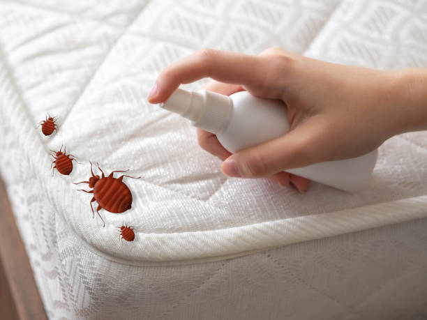 Best Bed Bug Extermination  in Marinette, WI